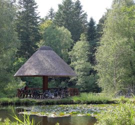 Fahrräder sind an einen reetgedeckten Pavillon gelehnt, der an den Fischteichen im Langenberger Forst zu finden ist