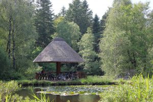 Fahrräder sind an einen reetgedeckten Pavillon gelehnt, der an den Fischteichen im Langenberger Forst zu finden ist