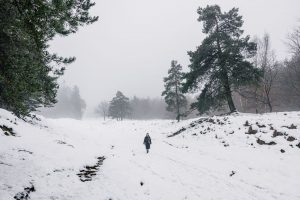 Winterspaziergang im Schnee in Langenberger Forst bei Leck, Nordseeküste Nordfriesland, Schleswig-Holstein, Deutschland